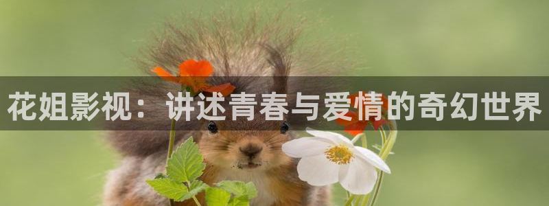 西瓜影院2021最新电影电视剧