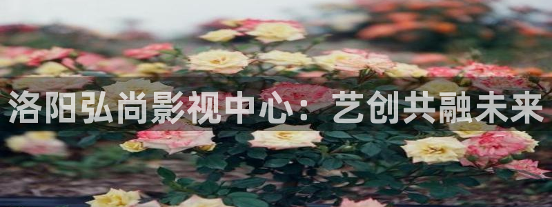 西瓜视频免费