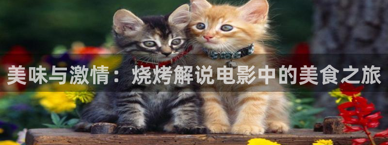 凤囚凰免费观看全集西瓜完整版