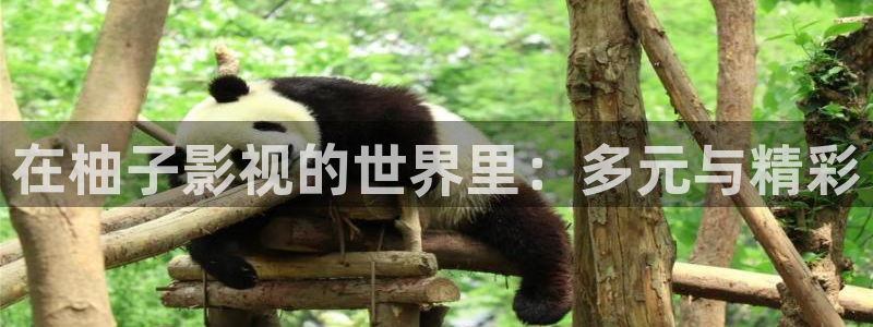 西瓜影院理论电影在线观看