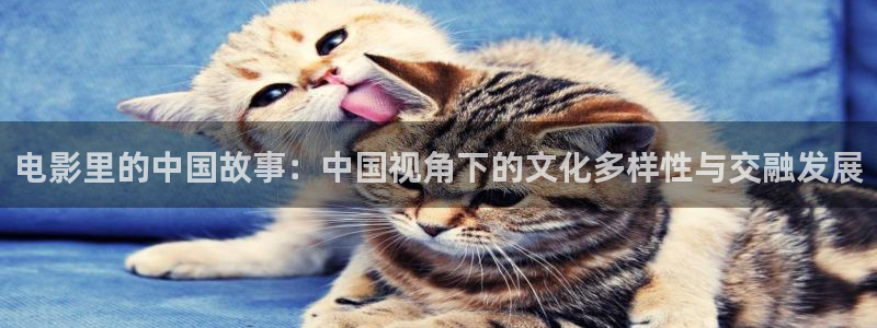 西瓜影院高清在线