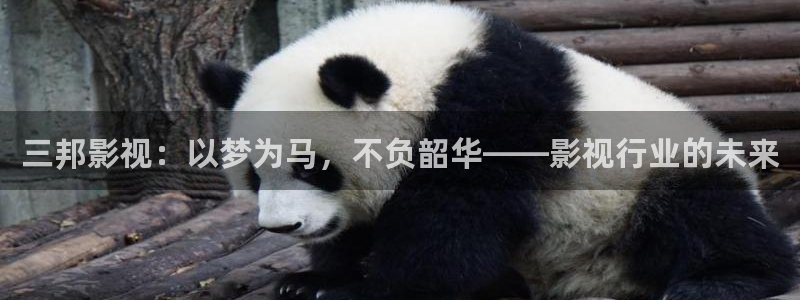 西瓜影院理论电影理论