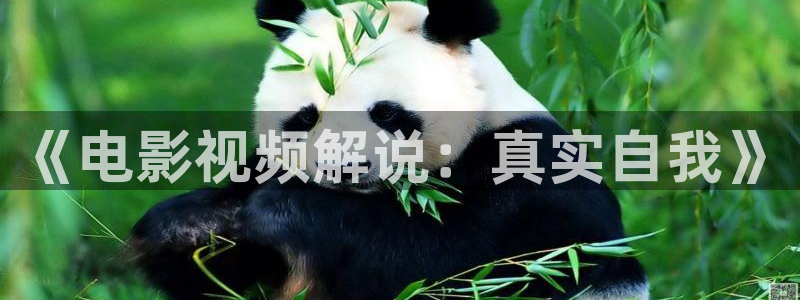 西瓜影院电视剧免费看