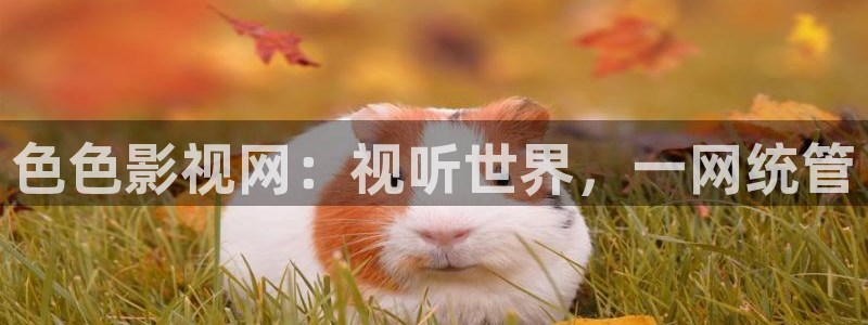 西瓜图片大全