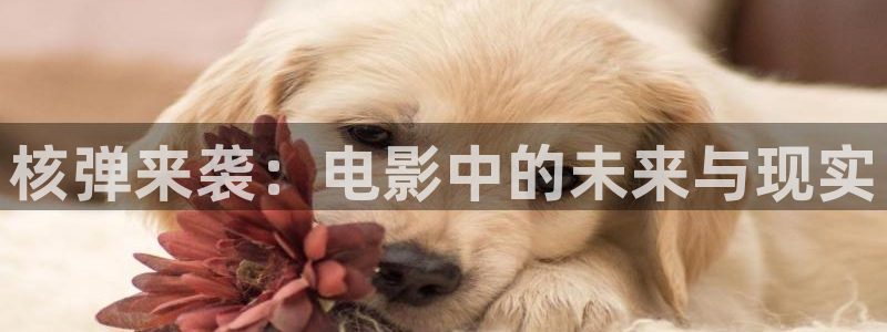 金枝欲孽免费观看全集西瓜