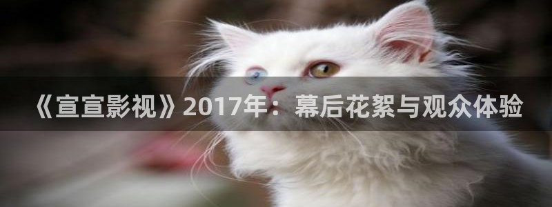 江苏东台西瓜