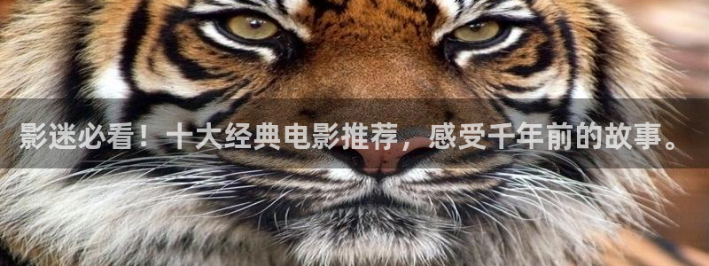 西瓜私人影视