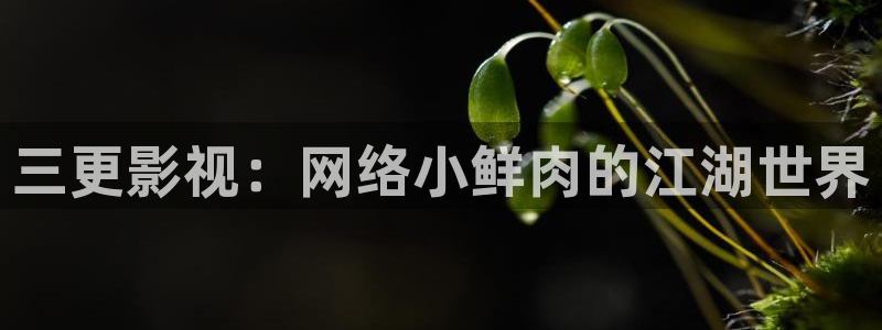 手机西瓜电影