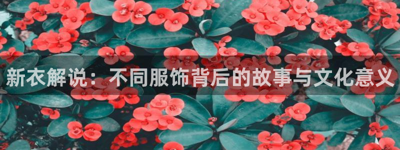 西瓜齐鲁影院