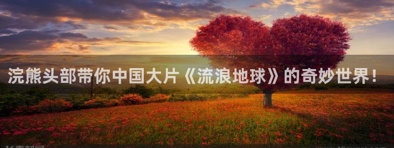 西瓜片子是什么