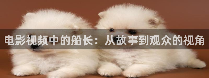 红娘子电视剧西瓜影院