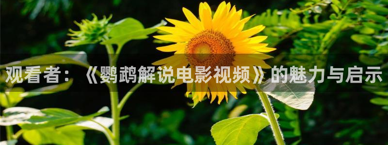 西瓜本