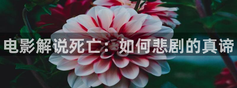 西瓜影院手机版