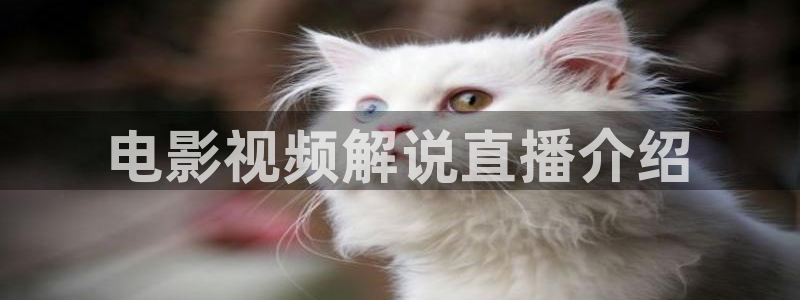 西瓜影院电视剧免费观看