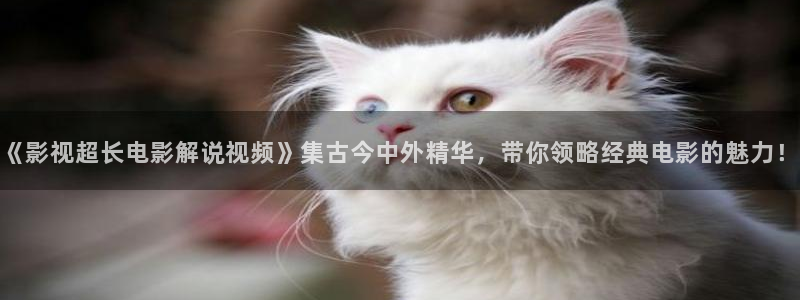 海底总动员英文版免费观看完整版西瓜影院