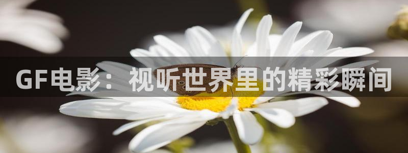 西瓜影院在线伦理