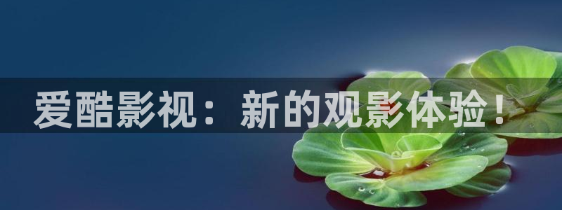韩国电影西瓜