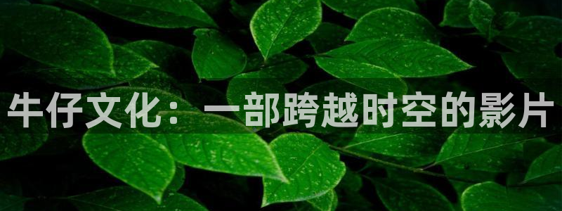 西瓜影院电视剧免费