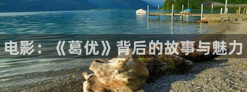 西瓜影视下载