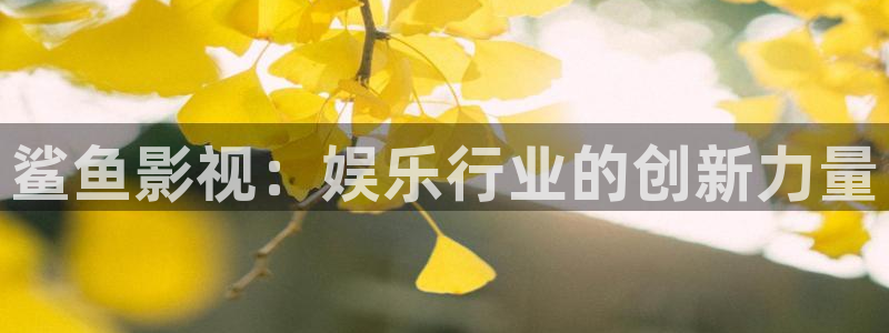 电视剧恋恋不忘免费观看西瓜