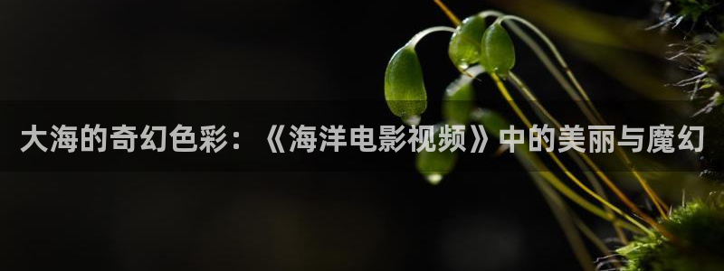 西瓜视频看片