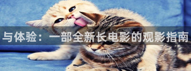 日照西瓜