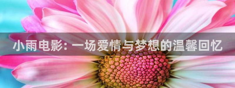 四川在线观看免费版高清西瓜