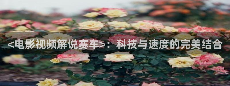 神马西瓜免费电影