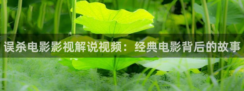 琅琊榜西瓜免费观看
