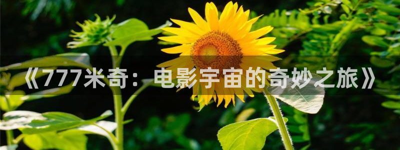 连云港西瓜