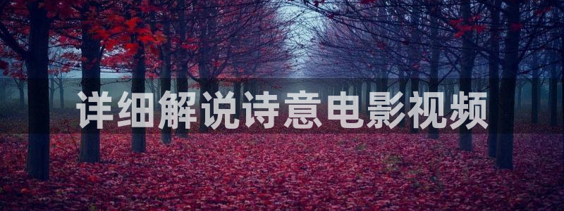 2020年西瓜影院