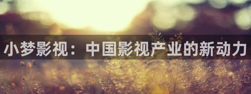 西瓜影院app
