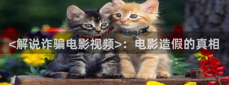 西瓜影院在线播放电视剧狂飙