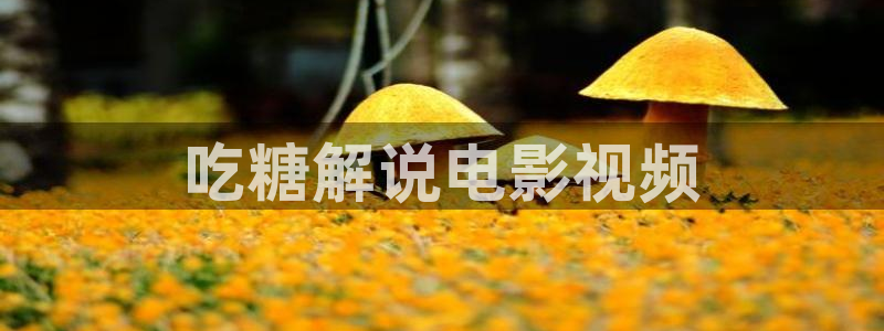 师兄啊师兄免费观看西瓜
