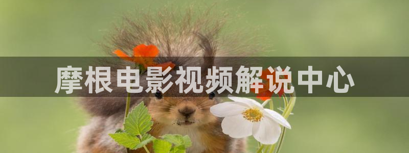 一路向北西瓜免费观看全集