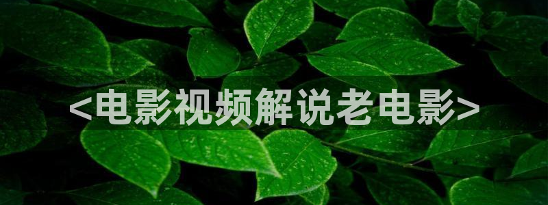 色戒西瓜在线