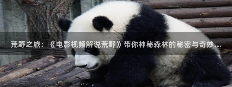 西瓜影院李宗瑞